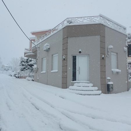 Lefis House Apartment Volos Exterior photo